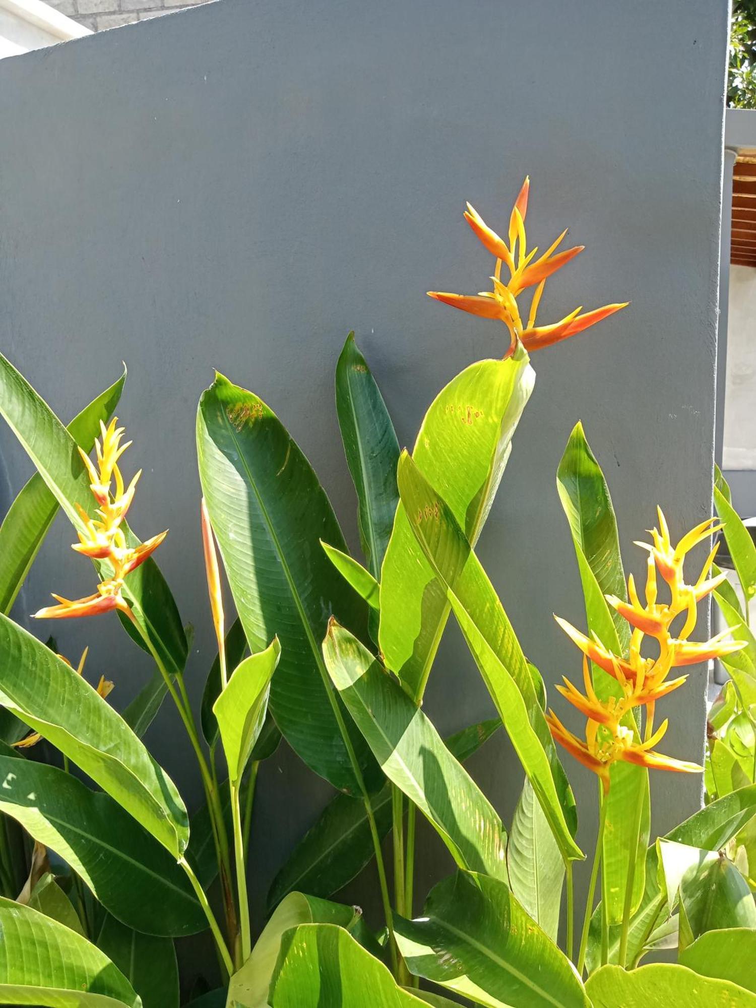 Parama Homestay Balangan Uluwatu  Exterior photo